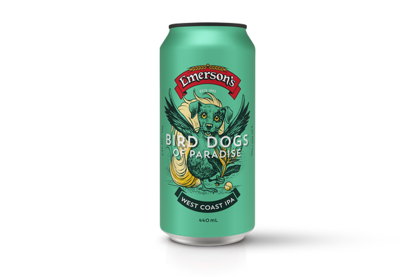 Bird Dogs of Paradise